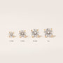 White| Yellow| Rose