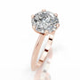 Rose :: Timeless round brilliant lab grown diamond ring E VS1 engagement design
