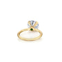 Common :: Iverique round lab diamond ring with hidden halo setting macro product photo