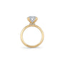 Common :: Luxury 3.11 carat round engagement ring with hidden halo design on hand image