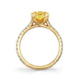 Common :: close up 2.63 carat yellow cushion diamond ring luxury design