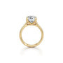 Common :: Rylisse round lab diamond ring with polished band macro product photo