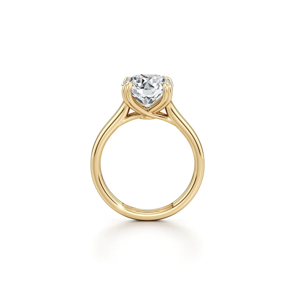 Common :: Rylisse round lab diamond ring with polished band macro product photo