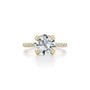 Common :: Quenora 3.42ct round pave lab grown diamond engagement ring IGI certified close up view