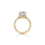 Common :: Elegant round cut pave engagement ring with lab grown diamond side angle view