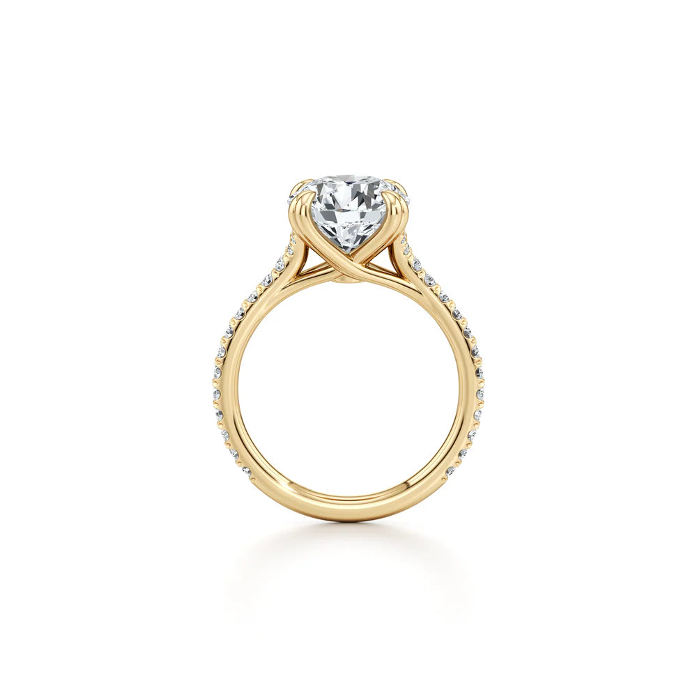 Common :: Elegant round cut pave engagement ring with lab grown diamond side angle view
