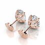 Rose :: round lab grown diamond stud earrings IGI certified brilliant sparkle