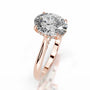 Rose :: fine jewelry oval lab grown diamond engagement ring hidden halo women ring