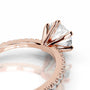 Rose :: Round brilliant lab grown diamond ring with sparkling round side stones