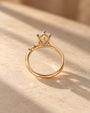 Common :: Dutch Marquise center diamond with 0.20ct Round and Marquise accents